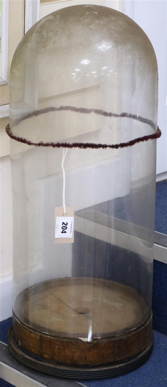 A large taxidermy plastic display dome
